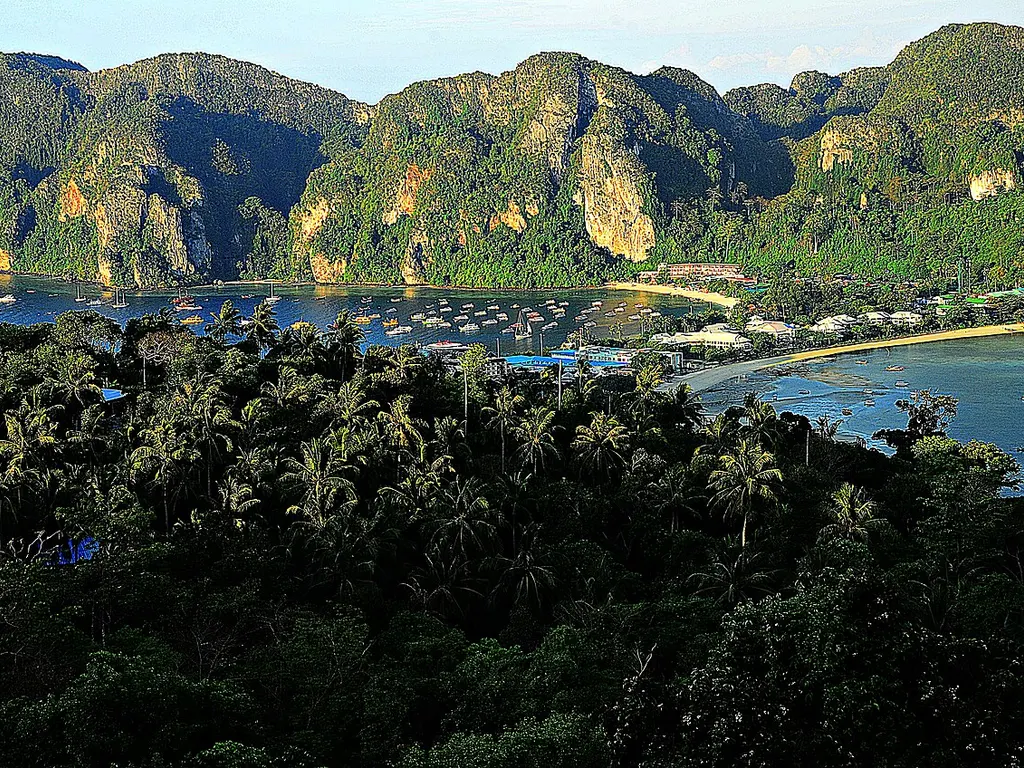 Longtail boats anchored off Phi Phi Don beach