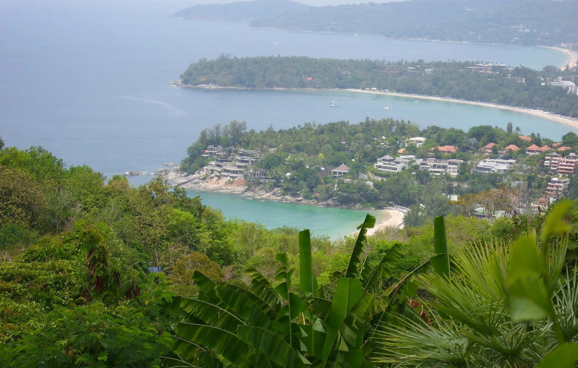 Kata Viewpoint