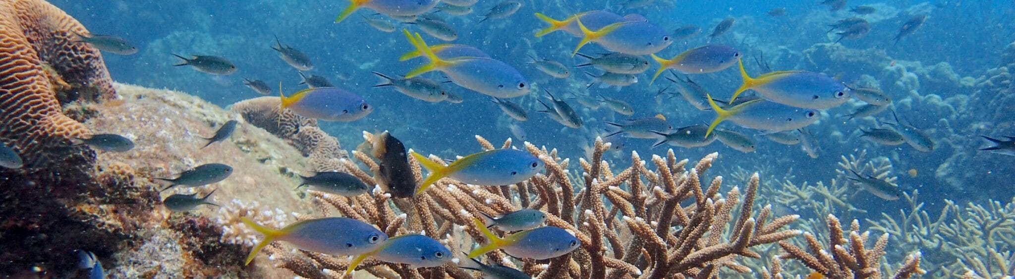 Surin Islands - Main photo