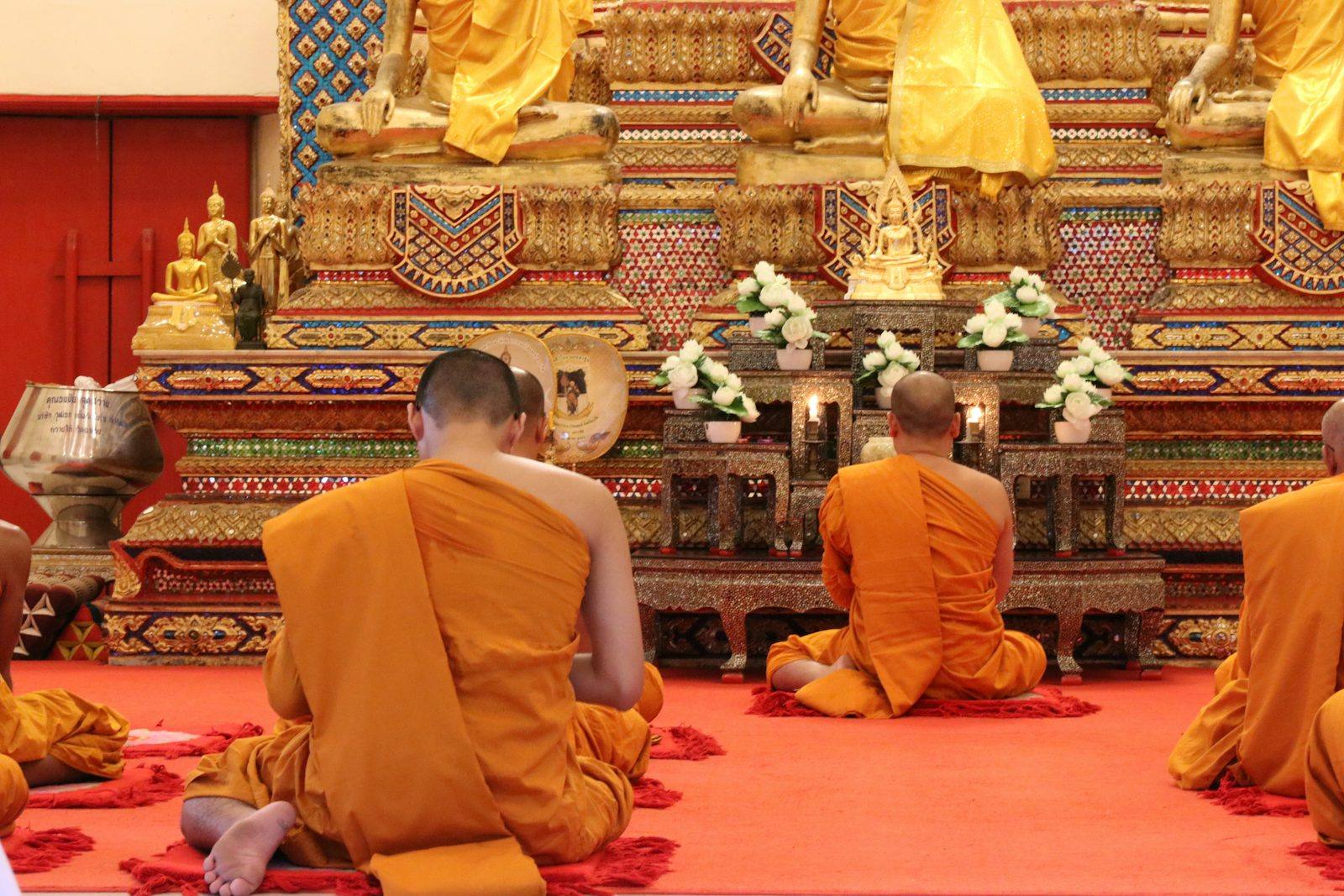Phuket City Tour — Elephant, ATV, Lion or Night Market (Phuket Loka Tour) - Photo 3