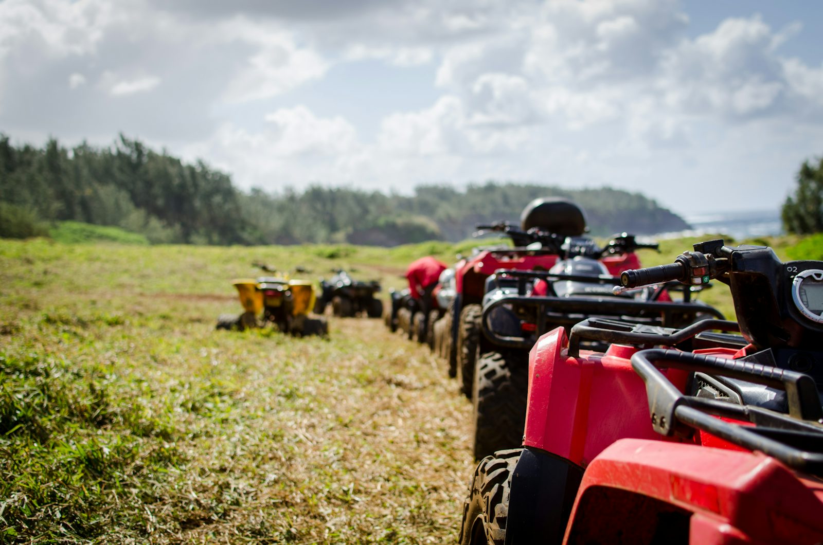Phuket City Tour — Tiger, Elephant, ATV or Sightseeing (Colorful Phuket) - Photo 4