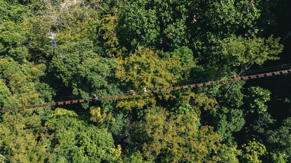 Flying Hanuman Zipline Packages – Photo 6