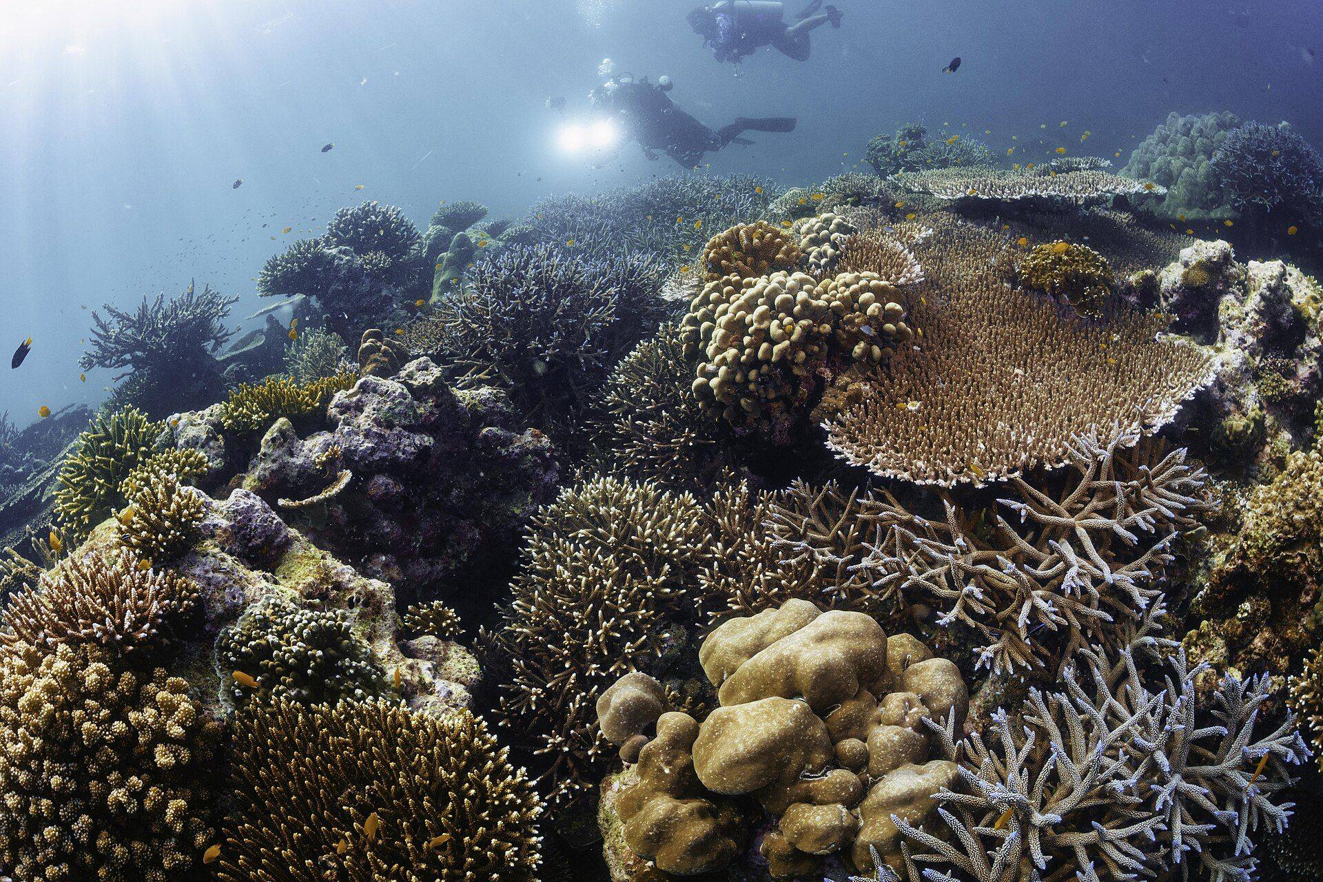 Surin Islands Day Trip by Premium Speed Catamaran (Sawanu Travel) - Photo 5