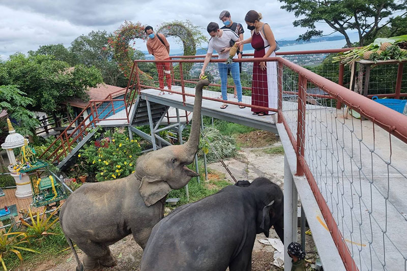 Snake & Monkey Shows (ATV Seaview) - Photo 4