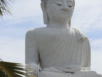 Phuket City Tour — Elephant, ATV, Lion or Night Market (Phuket Loka Tour)