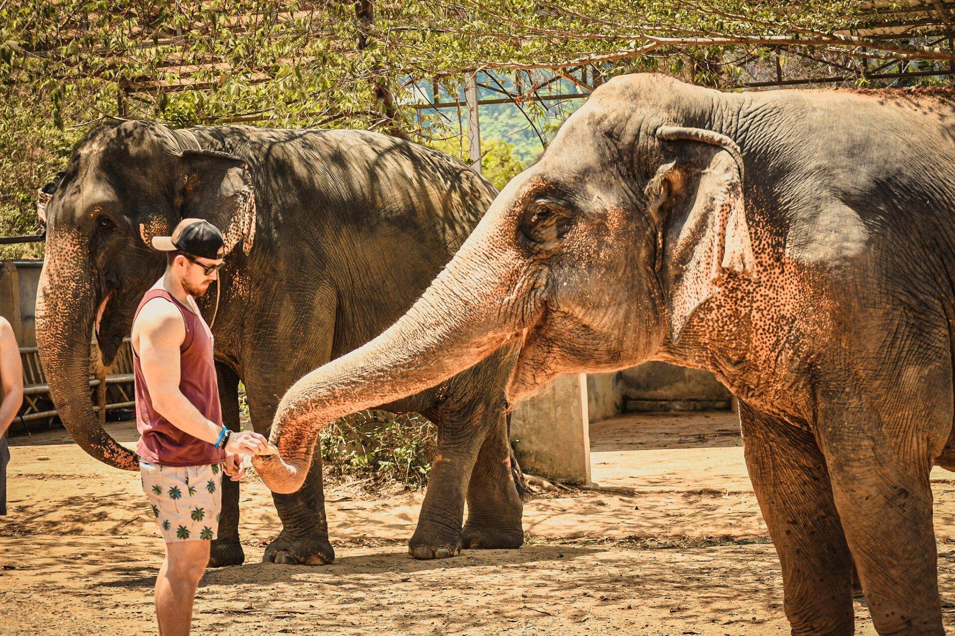 Phuket Family Fun Day - Photo 2
