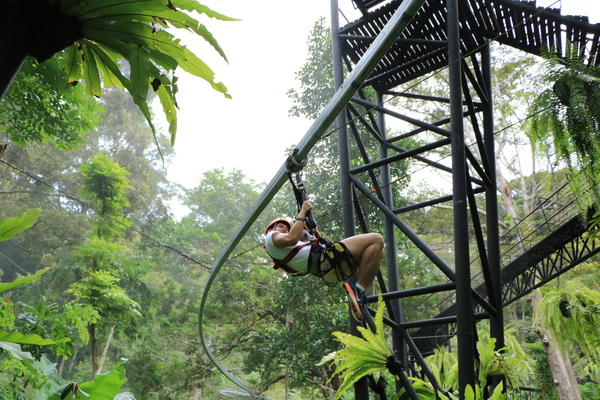 Hanuman World Zipline Courses - Photo 4